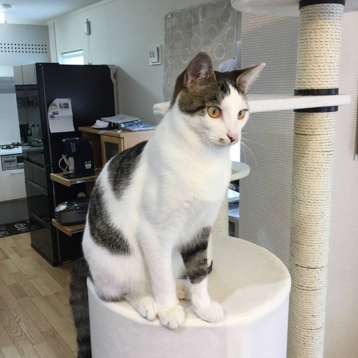 0017e9f3 3ae9 4309 bae1 b6c9442c5536