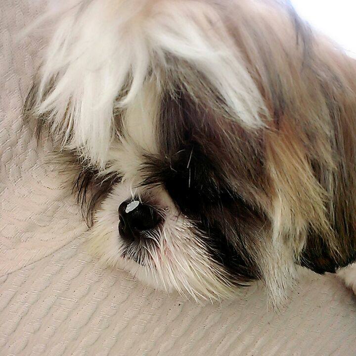 0017f564 ebcd 4f57 843f 4681ccddd92c