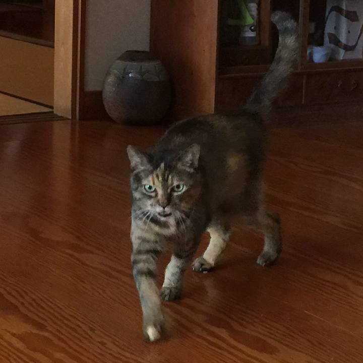 001865e5 56ad 49c5 a820 a6a399280deb