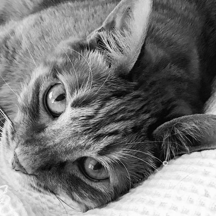 001961f1 f13a 47b8 8d60 7a6dfc8fd270