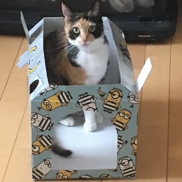 001a1008 c2eb 4ea0 82d2 b09425f4fb92