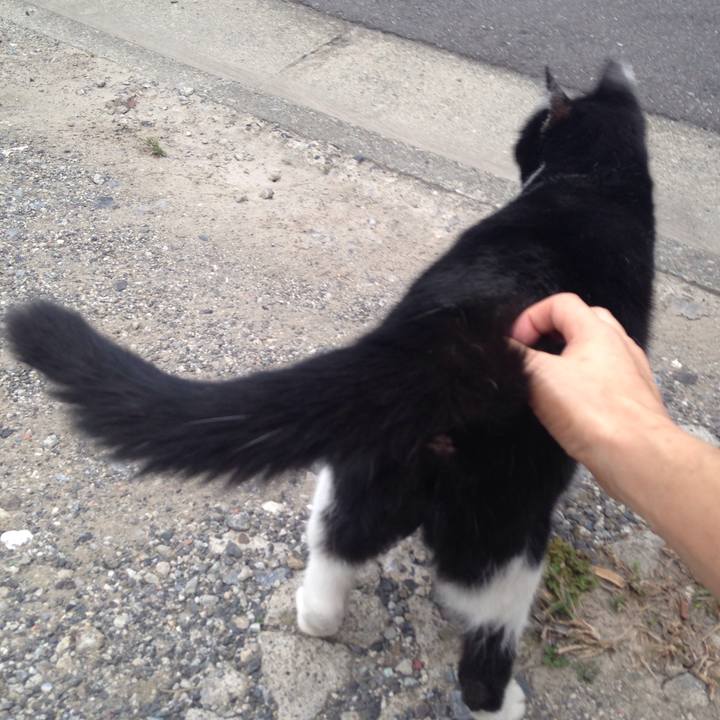 001a3e56 c5c0 4c86 8815 b7da5d44693e