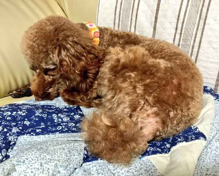 001a8eea 0dd0 49d5 8851 d8b14763ff63