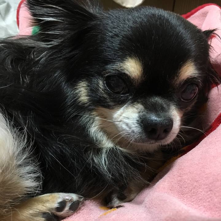 001aae36 0f1d 4c5e a36b 077891ae59dc