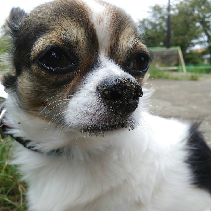 001ac01b f052 4d4b 917c 55eb43d2ba7b