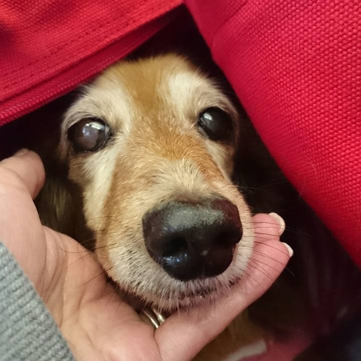 001b6305 72a1 466e b0f0 e98dac946bc1