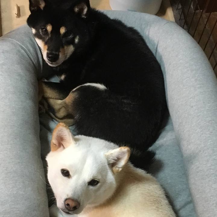 001c553b 10bd 4a4f 9f01 7795e8e9c6a0