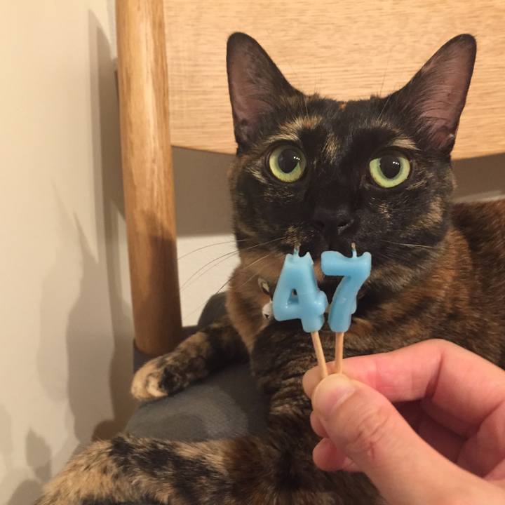 001c5fde 70a7 4951 9656 edc83a4147f9