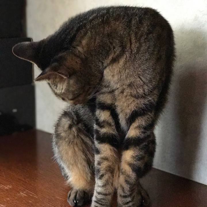 001c7090 3087 404a 892b c5519755b061