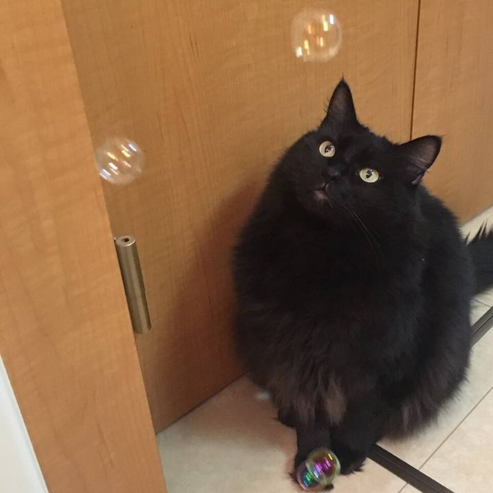 001d15b9 ce2d 4dcf a45c d5a79b1860f9