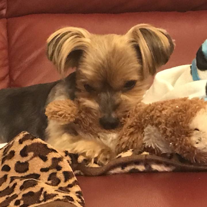 001d7b08 1745 43dd b91e 4859d3a5309a