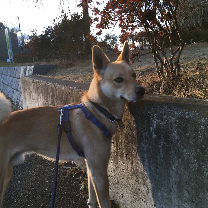 001dc5d8 e869 44b1 8611 03ecb7fc6b82