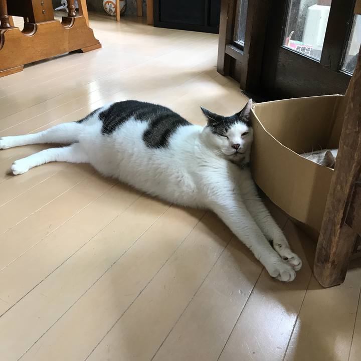 001dc8c3 b41f 48f2 887b 71d0384956fd