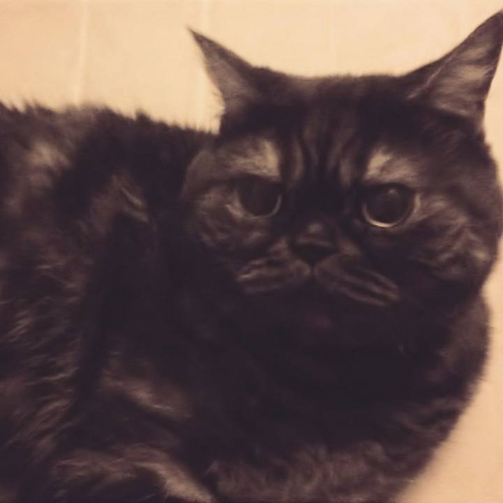 001ddcff 83f6 4dbd 980c 43f1fc492b17