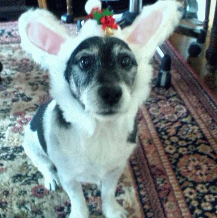 001dfa25 02ef 4948 8363 8498e5b4aab5