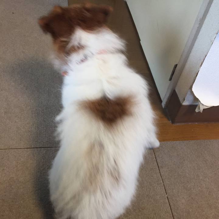 001e1117 04ea 4ff4 a807 cd153ac53227