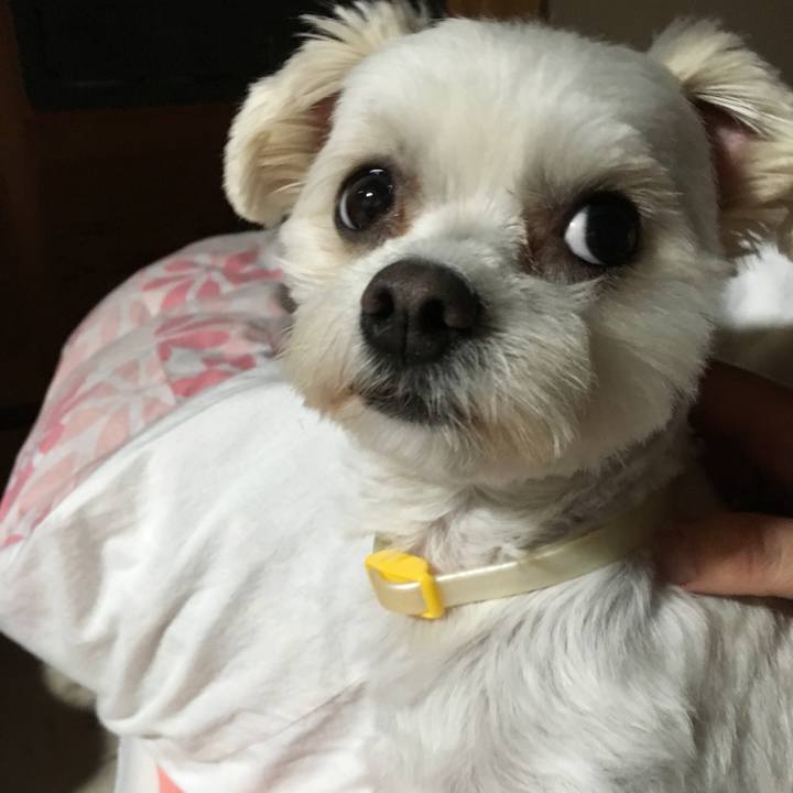 001e6562 974e 4e73 9e05 a3f43ac8aa51