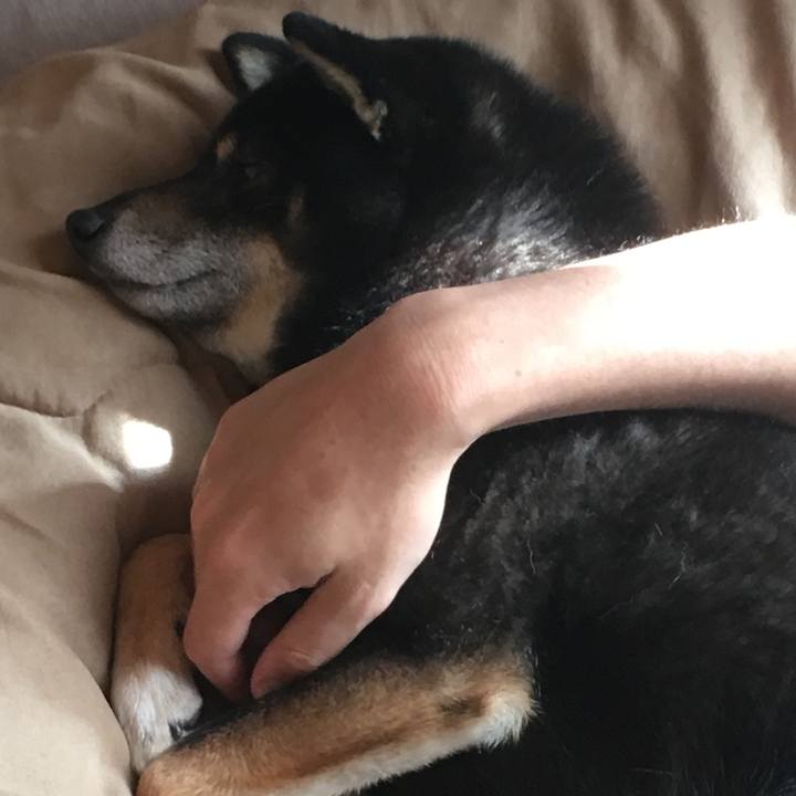 001f9bab 7b63 4882 b797 e3f0fffae824