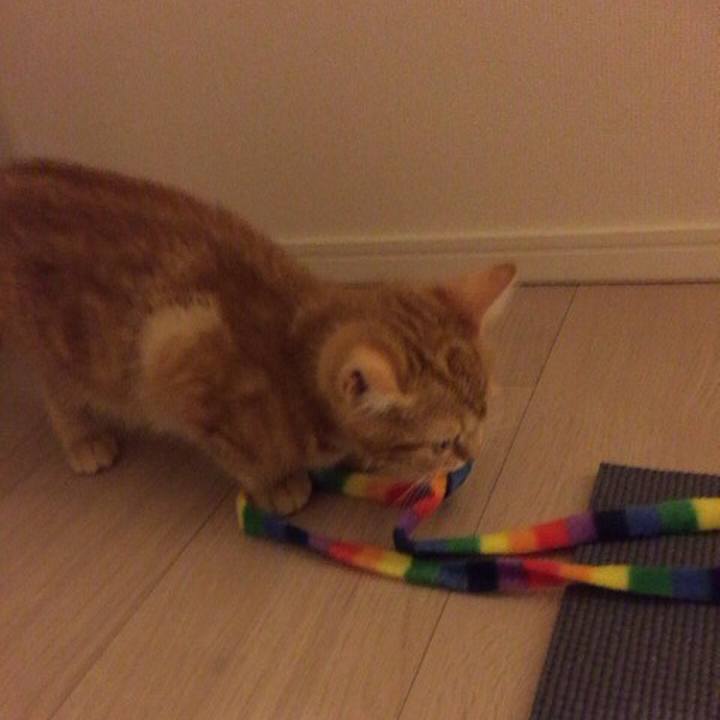 00207077 f4a1 4a73 8488 d3437b54a1d5