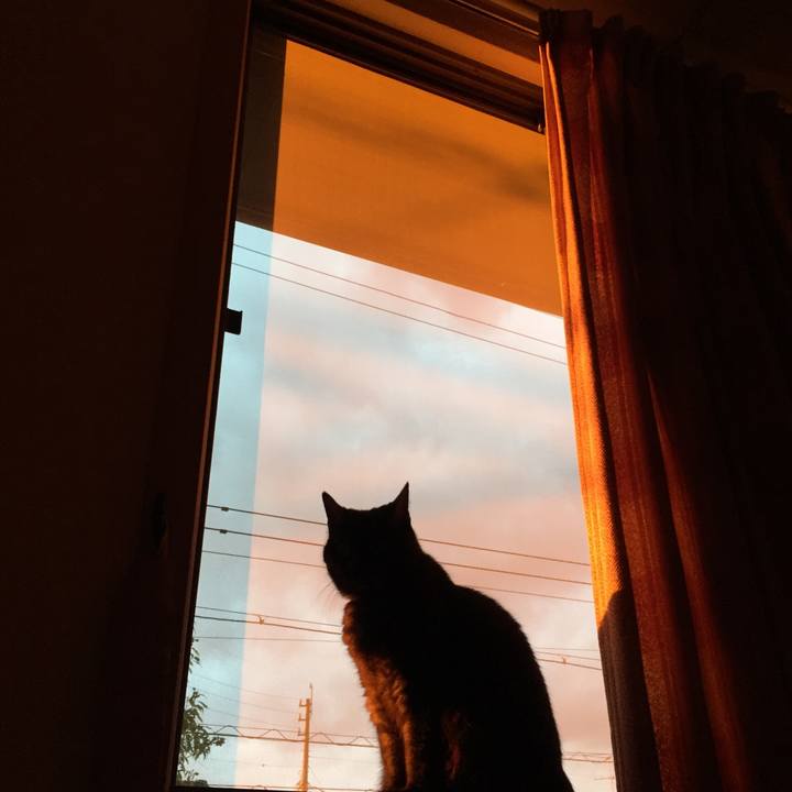 00207f8e 3ec2 4b24 8b9b bfdb0eb0895f