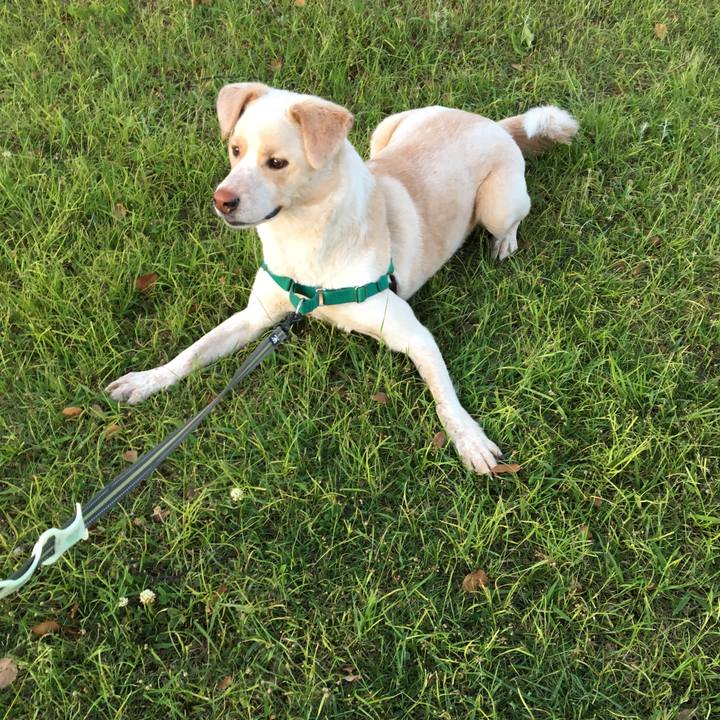 0020bddb b2ed 49cb 822f bf274c5a687d