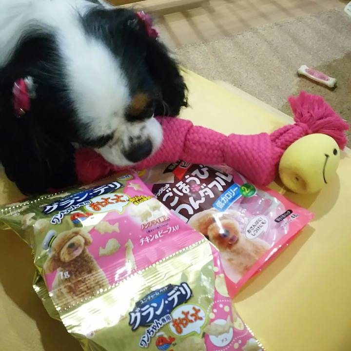 00229ed1 3089 4c8a bb90 7fc8e2db6cd1