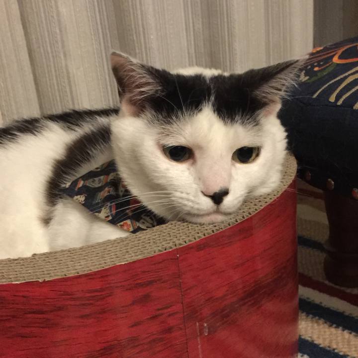 0022c302 9cb1 4ced 9d64 442a6b401c60