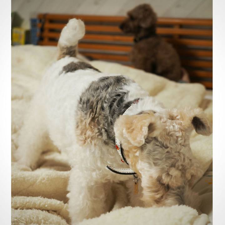 0023e840 1442 43c9 ac68 fa2118eeb7b9