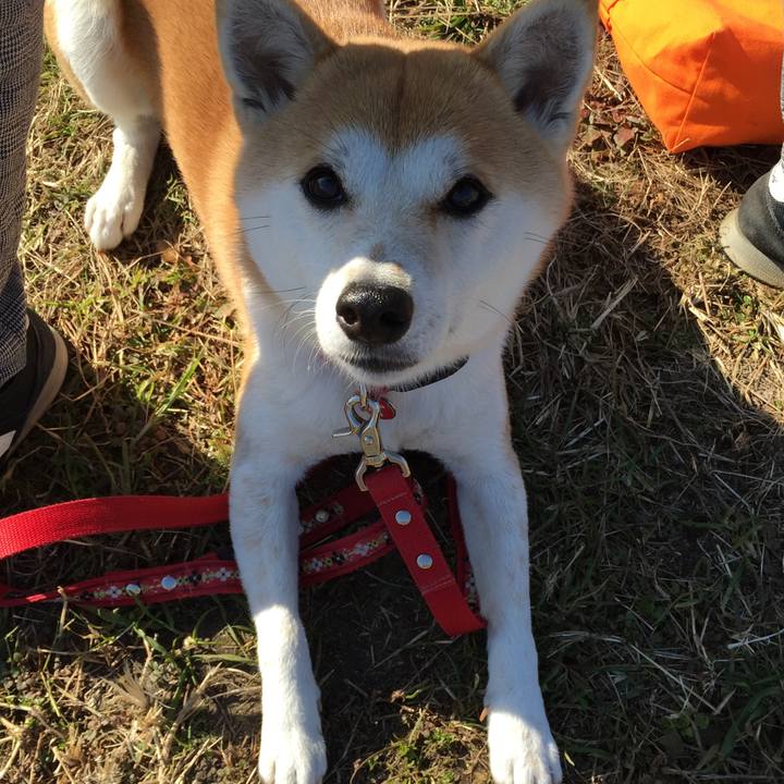 00243941 f884 4d4b 9fa8 b8a118eb2c1d