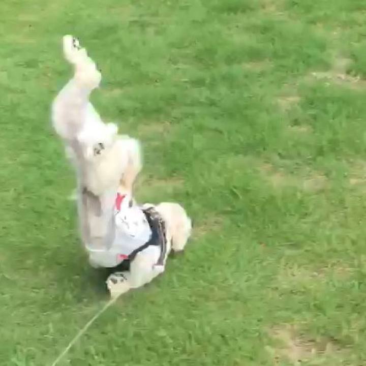 0024ae05 0669 4467 9867 20b8f67be531