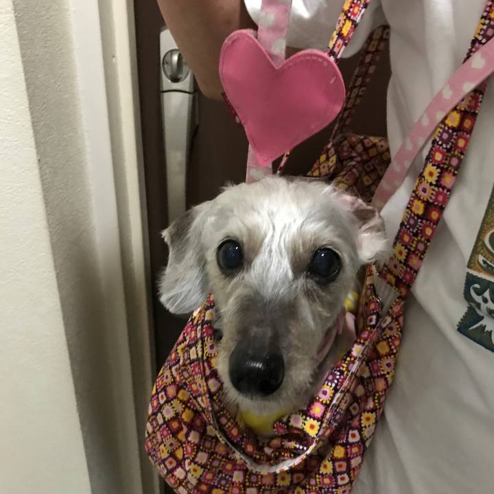 0024bf66 0119 439d a79a 17aa97140683