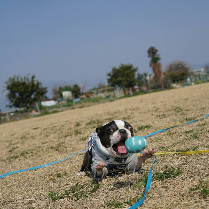 0024c9e8 bcf7 4172 a552 84c500fc0d6f