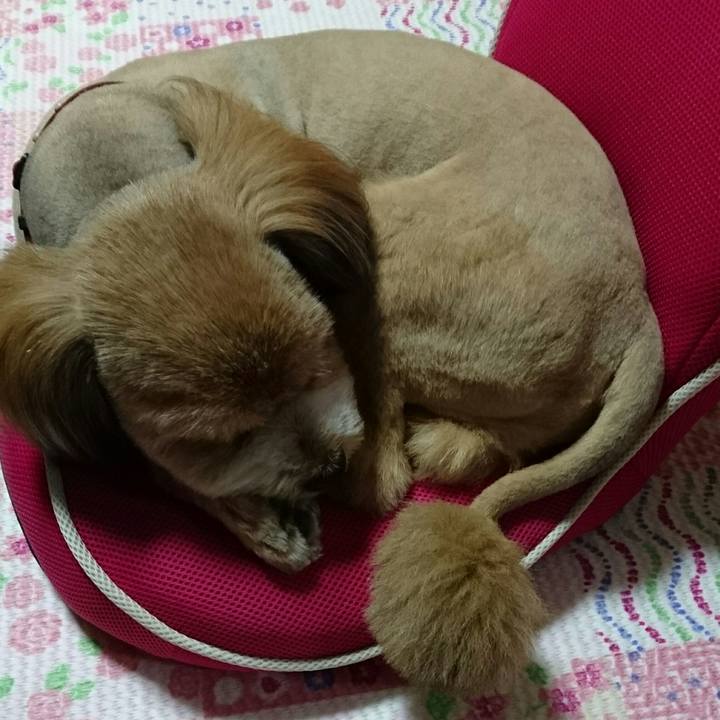 002502c9 ae74 4bcd ac1b 0138b1153602