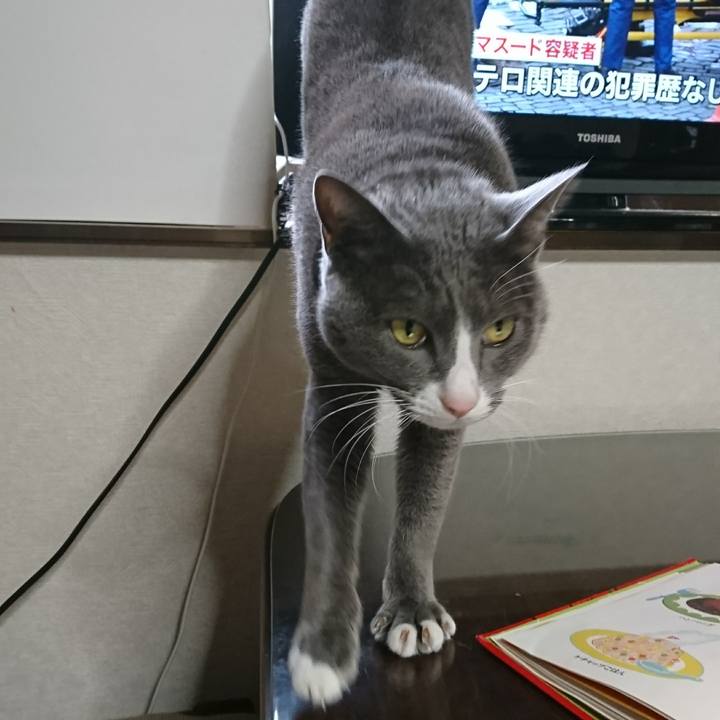 0025086d d9fa 4719 9e5e 80dd4c148eac