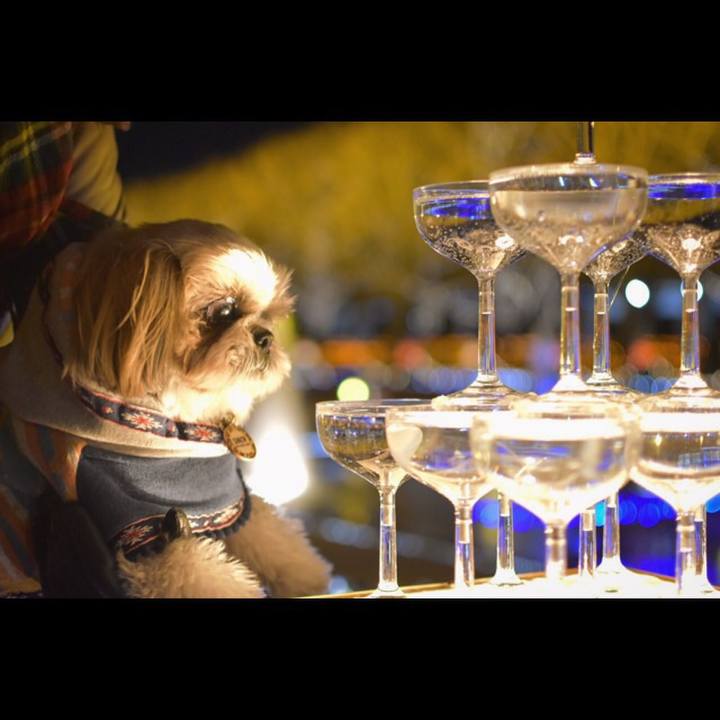 00251b80 8529 408c 8f9d 11a29867a51b