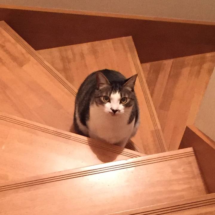 00251d17 2ea8 4d10 8a4e c14b67736cb4