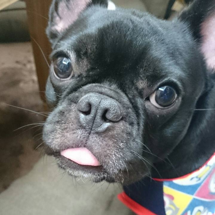 00255921 2a81 4f6a b898 7c250d555488