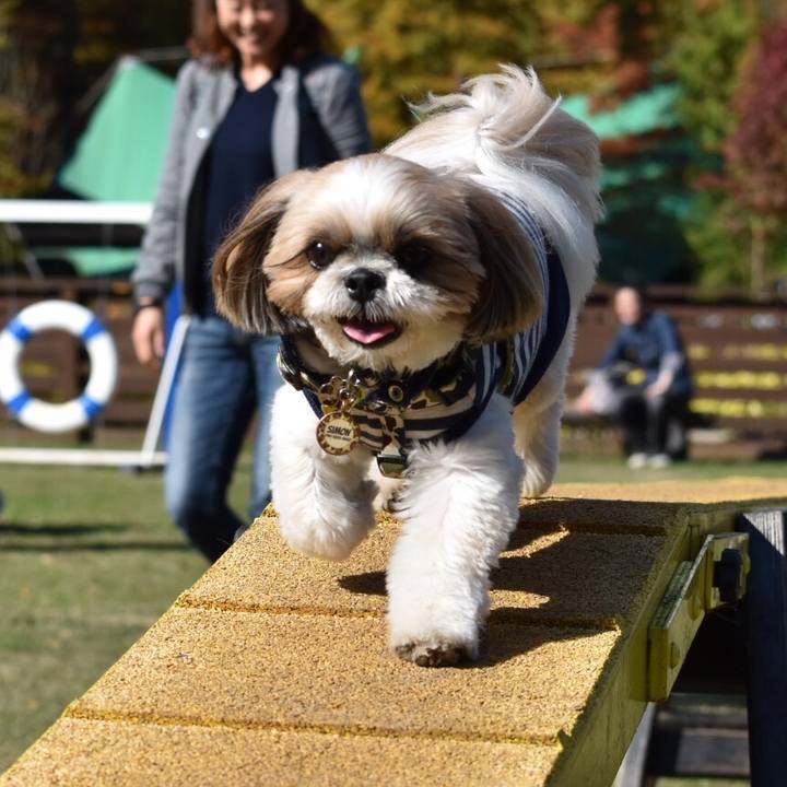 002580f7 0251 4a6b 9e68 ca8cc8885858