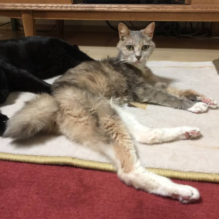 00258c80 408f 4245 bbee 32f56569823a