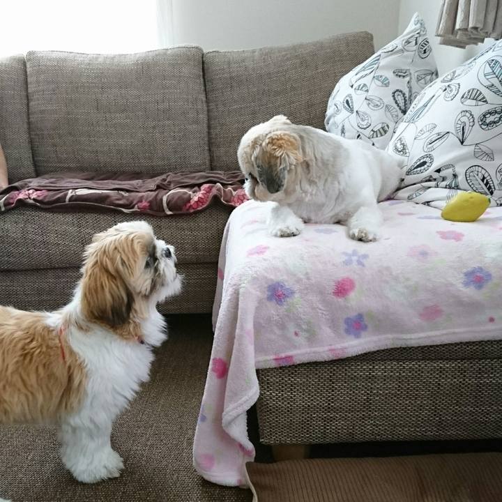 0025d9e2 6346 452c 824e 1baf2dee0f30