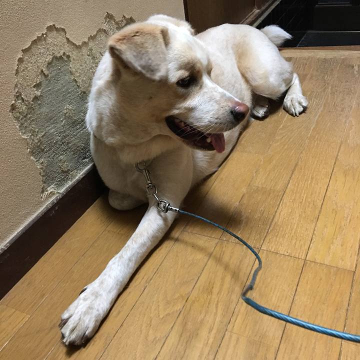 00260983 c294 41dc 8c49 43b0d235b72e