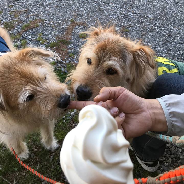 002742c5 53f6 4fa3 8a1e d3de51ecd967