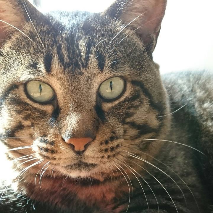 0028488d 7dcc 4ae4 ab06 8035323a6d0c