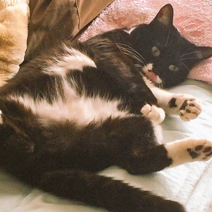 0028cb11 07b1 427e 8286 751962b07b5c