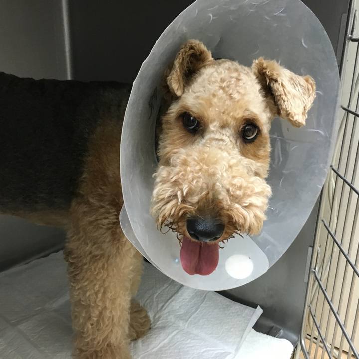 0028d59f 7e89 43c2 887b 4e3fa9e9533a