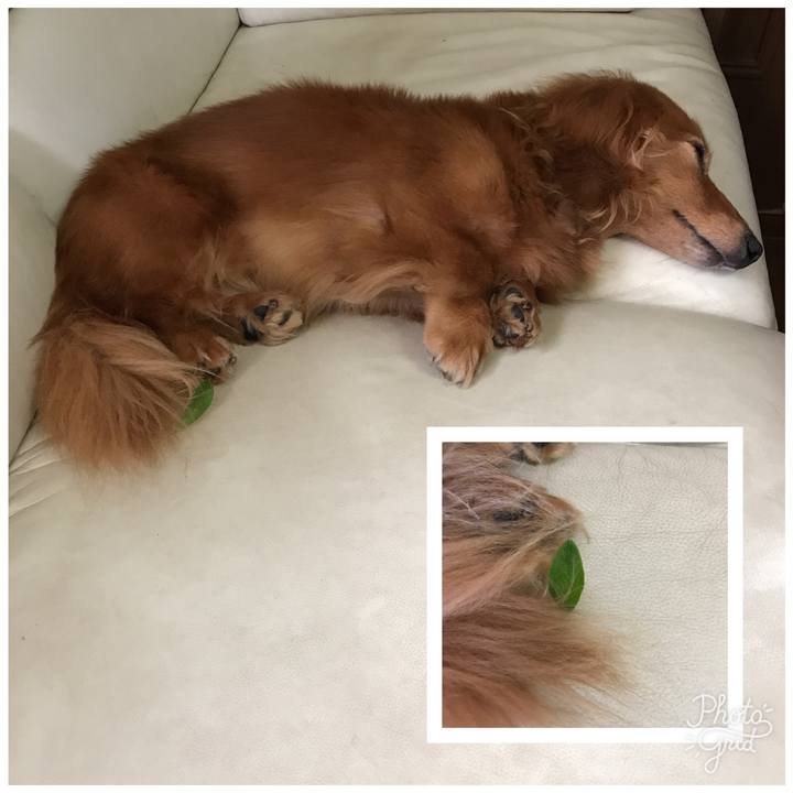 0028f5a3 99dd 433b 8ef3 d88d53ee6c17