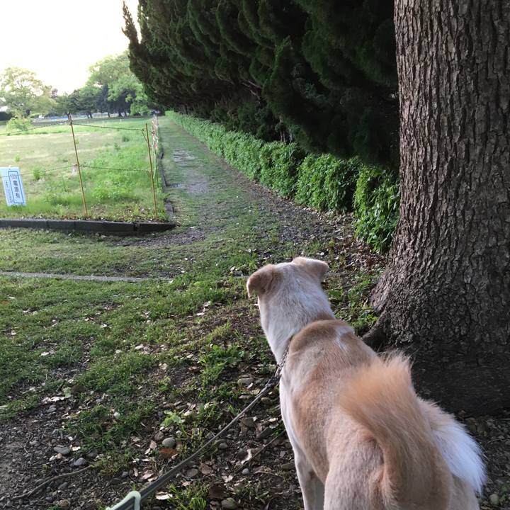 002911ae 42f1 48fc a8b4 728237e96bce