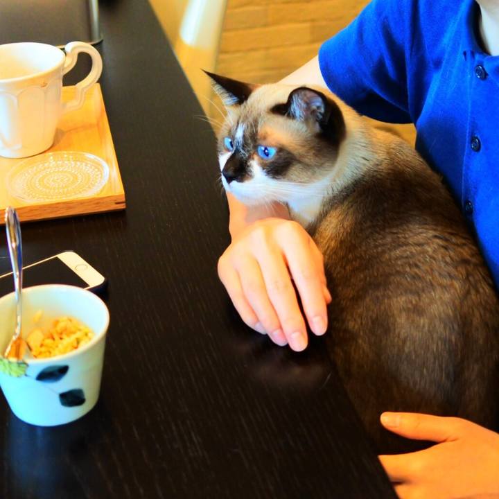 00294e3d b7c5 464c a37a 9df9fc0b5e31