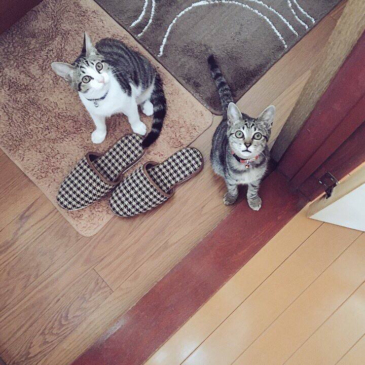 0029581b 2d45 4bb9 932f d14bd5f02fad