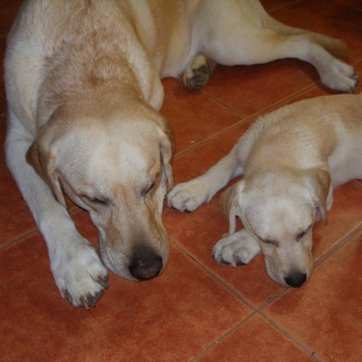 002a319e bab8 47c0 a881 45ac7f28628e